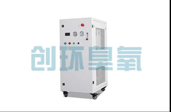 厦门工厂化养鲈必看:2026年臭氧发生器替代传统消毒的最新方案