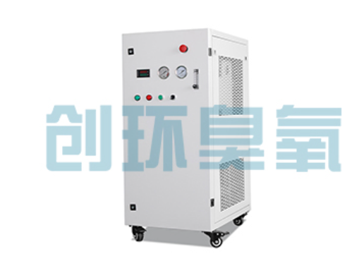 厦门石斑鱼养殖水质调控完整指南:臭氧发生器配置与操作步骤