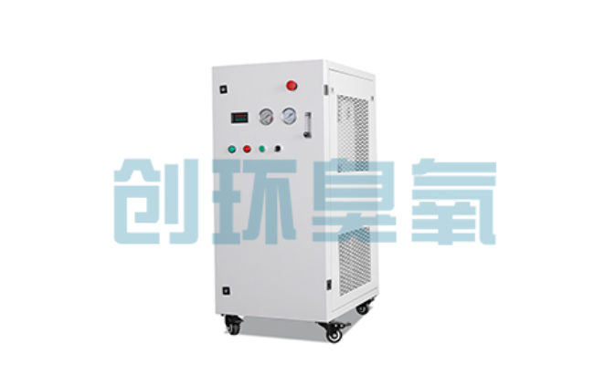 厦门比传统换水更高效?臭氧发生器在石斑鱼养殖中的水质净化原理解析