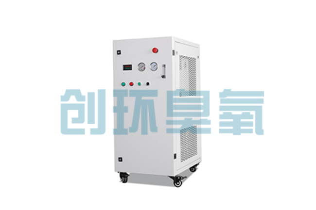 厦门比传统换水更高效?臭氧发生器在石斑鱼养殖中的水质净化原理解析
